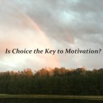 Is Choice the Key to Motivation?